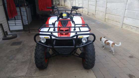 quad and pitbike for sale