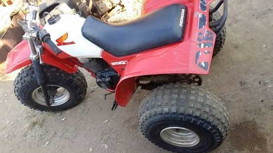 Quad For Sale