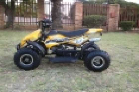 Quad pocket bikes for kids