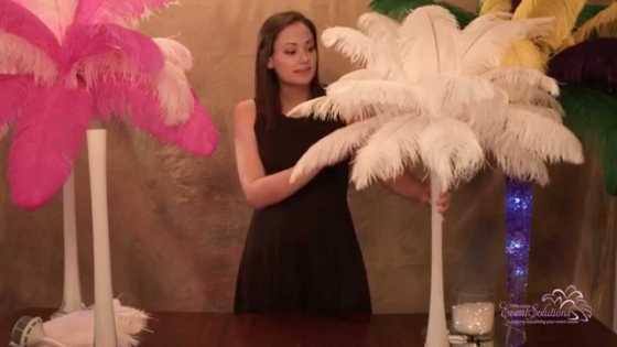 Quality ostrich feathers for sale