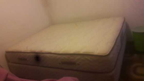 Queen size Sealy bed in a good condition