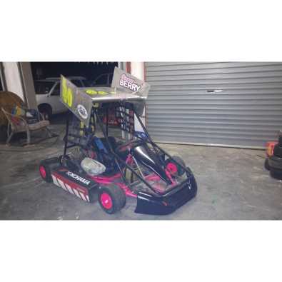 race ready micro midget for sale