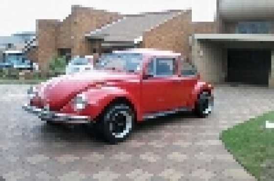 Rare Beetle 1302 S