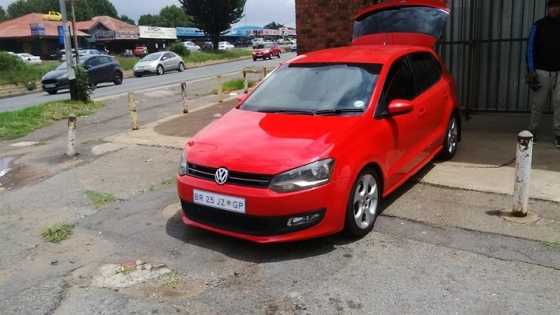 red polo 1.6