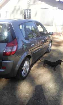 Renault scenic for sale