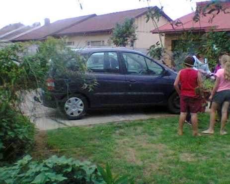 Renaultscenic1.6blue