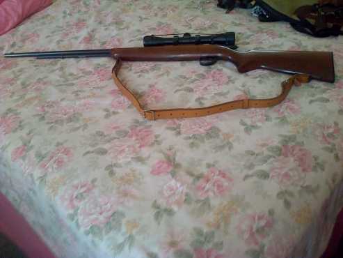 Rifle.22