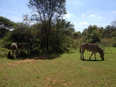 ROODEPLAAT DAM walking distance to Curro School