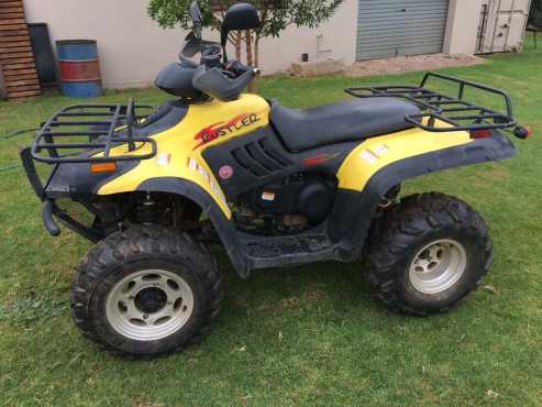 Rustler XL 300 cc 2x4