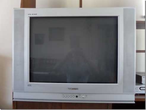 Samsung Plano Flatscreen Tv 74cm