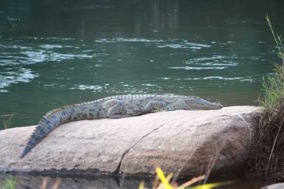 Sanbonani Lowveld resort