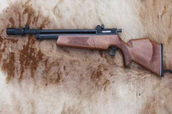 Sharp Innova air gun  pellet gun