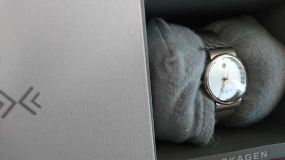 Skagen watch