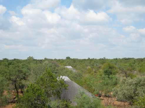 Small game farm for sale within the Dinokeng Big 5 Game Reserve