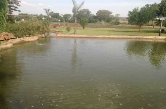 Small holding at bon accord dam area