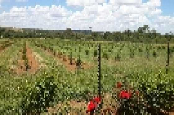 SMALLHOLDING FOR SALE IN ROODEPLAAT 5 Hectare