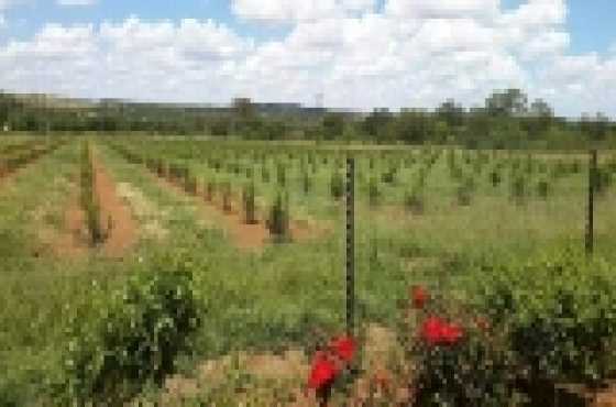 Smallholding for sale in Roodeplaat