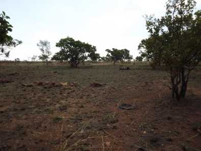 Smallholding For Sale in Vastfontein 8,5 ha