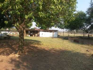 smallholding for sale now house cottage outbuildih