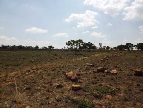 Smallholdings Vacant Land 8,5 ha in Vastfontein For Sale Bargain