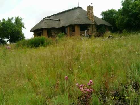 Spacious ThatchStone Farm style House on plot