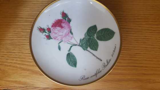 SPECIAL ROSE PLATES FROM GERMANY