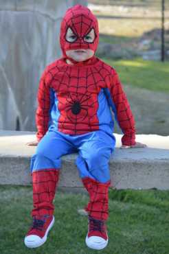 Spiderman Dress-Up Costume