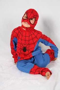 Spiderman Dress-Up Costume