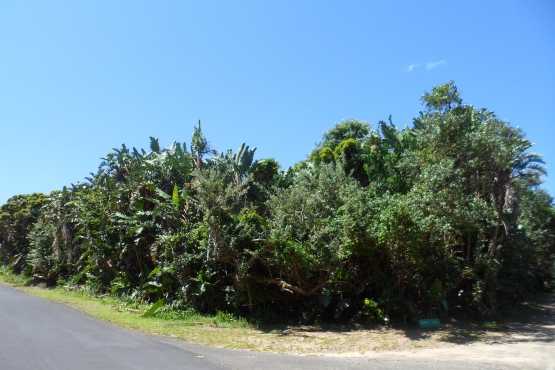 Stand for Sale at Trafalgar South Coast