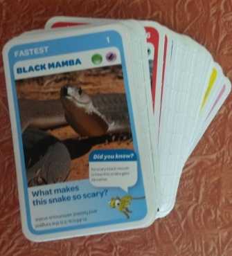 Super Animal Cards