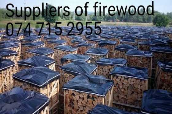 Suppliers of dry firewood