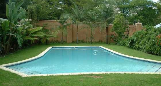 Swimming Pool Building and Repair Services In Gauteng