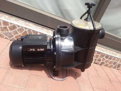 Swimming pool pump