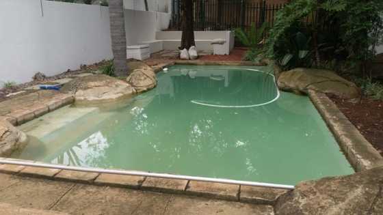 Swimming Pool Renovations