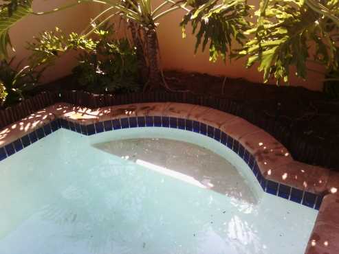 Swimming Pool Repairs