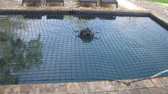 swimmingpool net