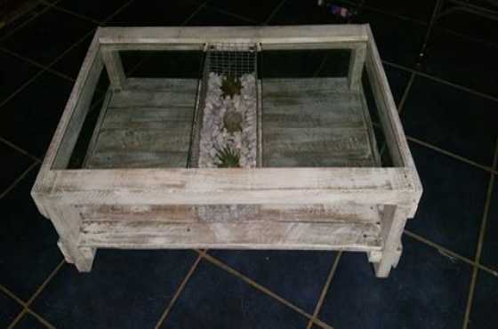 Table with safety glass top and planter insert.