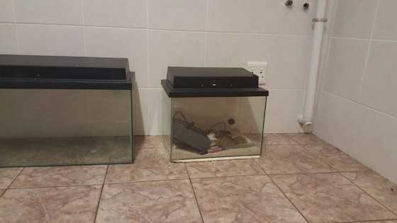 Tanks for sale