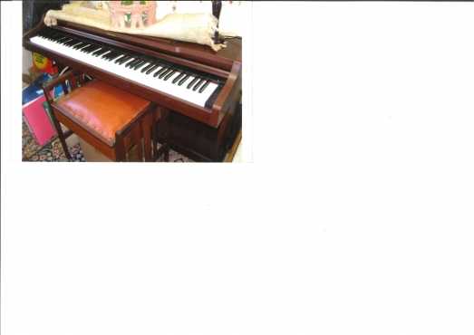 Technics Digital Grand and Upright Piano