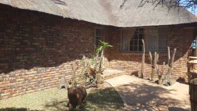 Thatch Roof House to rent in Private Game Farm