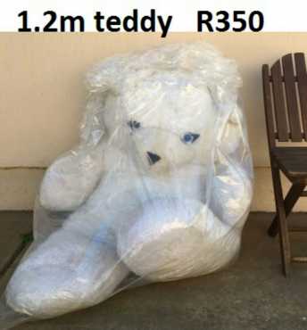 The big cute Teddy