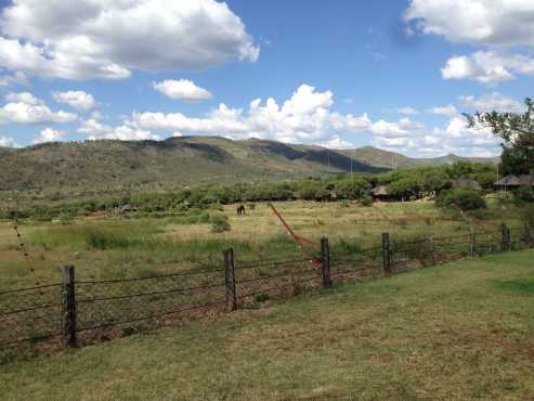 TIMESHARE BAKUBUNG GAME LODGE IN THE PILANSBERG