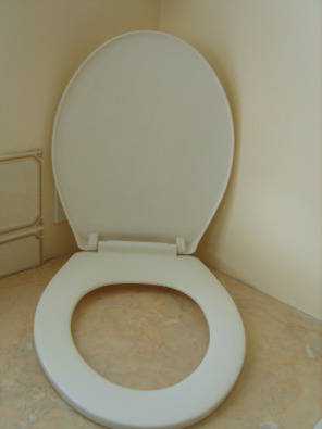 TOILET SEAT