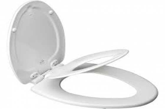 Toilet seat (special type)