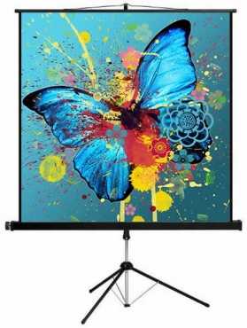 Tripod Projector Screen