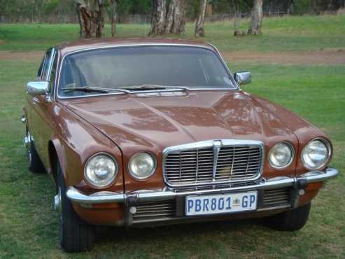 Two Jaguars for sale