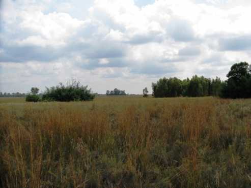 Undeveloped land for sale