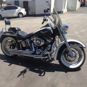 Urgent Sale 2012 Softail Deluxe Best Example in the Country