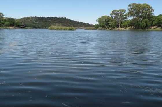 Vaal River Front Holiday Accommodation Cabins. Sleeps 5 from R 700.00 p night. Only one hr from JHB