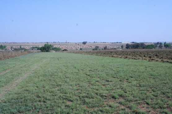 Vacant 1 hectare plot for R 185.000  Only 1 left